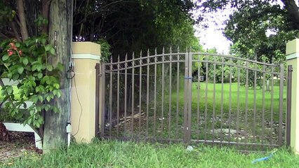 William @willylevy29 y Elizabeth @Elygutierrez19 paseando en su nuevo Lamborghini || TvyNovelas USA