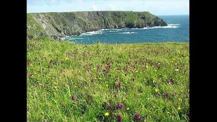 Eco-metropolis: Deploying the Power of Nature : Mark Simmons at TEDxCongressAve