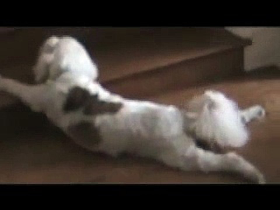 What Ails Humphrey?