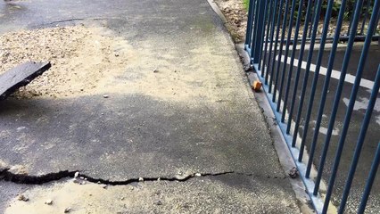 Fuite d'eau Congrès 2