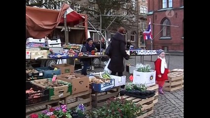 Sverigedemokraterna dissade av kungen