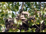 Merced National Wildlife Refuge