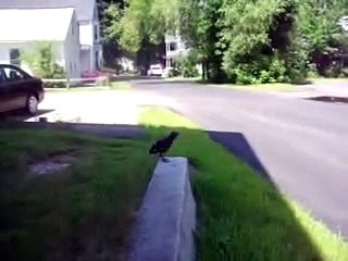 Funny Cute Baby Video - Please Love Me