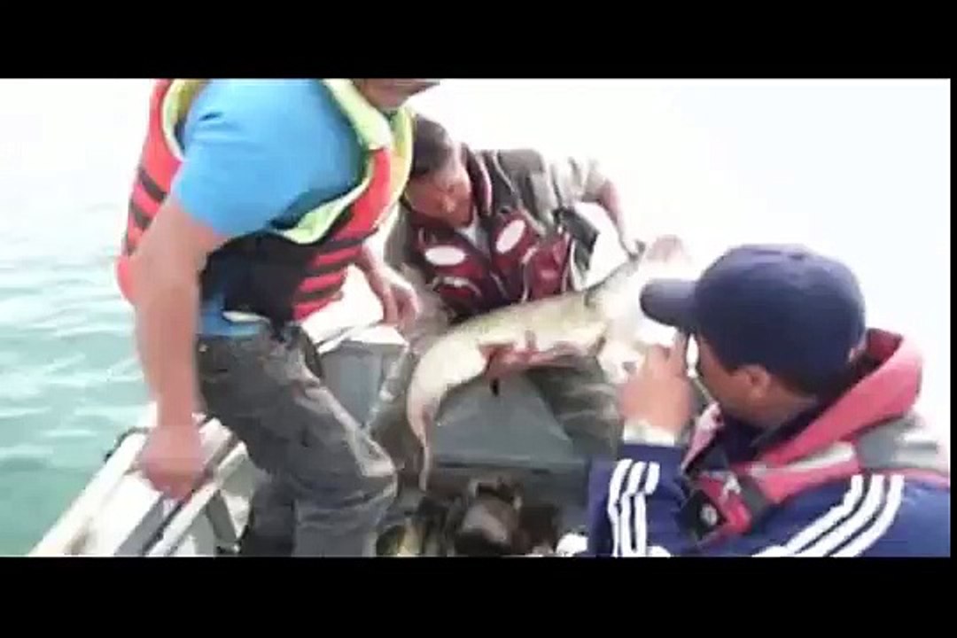 big fishing in Mongolia Ugii nuur.avi