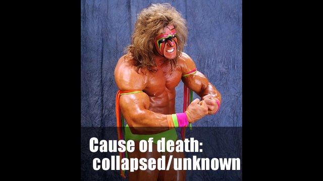 WWE Superstars That Have Passed Away