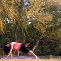 Yoga Flow ( Plank, Side Plank, Wild Thing Pose)