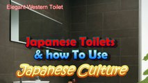Japan Culture:  Japanese vs Western…Japanese Toilets, Culture02