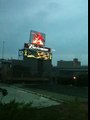 Cool Budweiser Neon Sign- St. Louis MO