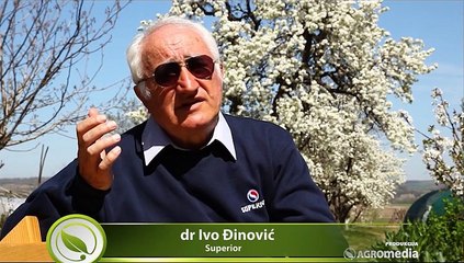 Priča o kamenu, ljubavi i uvetu! Saznajte tajnu 1 paradajza i 2 paprike!_401_23.05.2015.