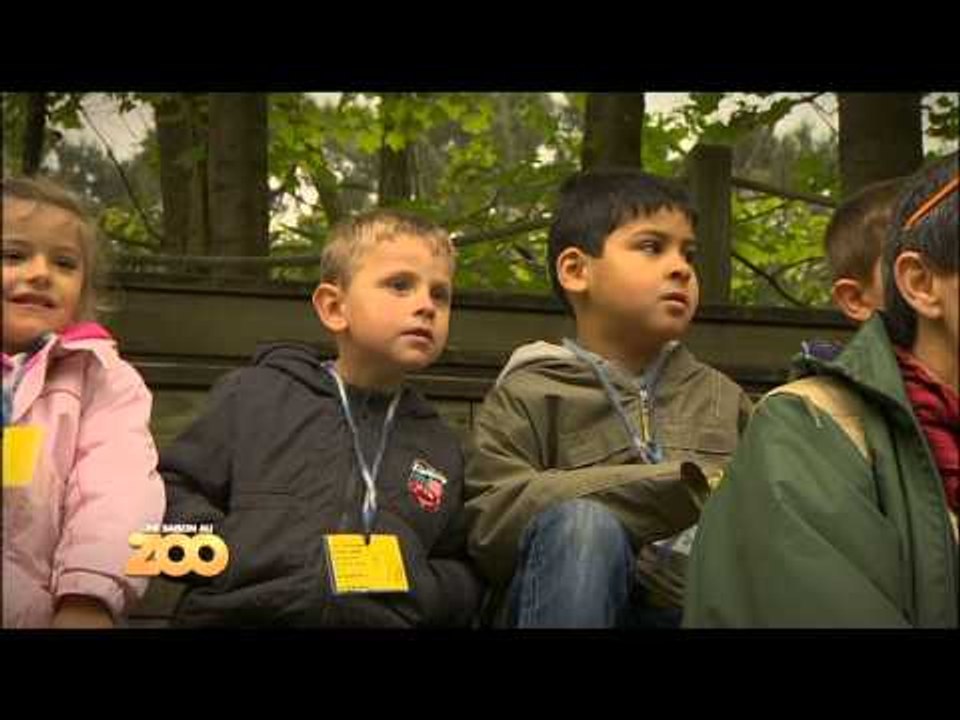 Une saison au zoo - Episode 21 (Saison 1)