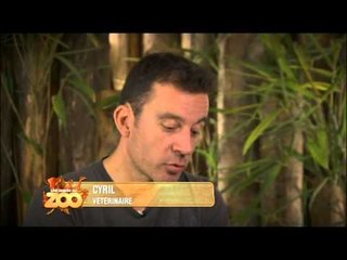 Une saison au zoo - Episode 7 (Saison 2)