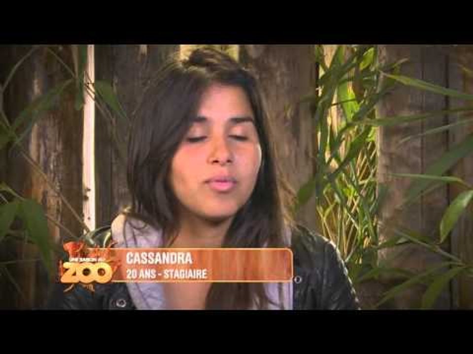 Anne, Cassandra et Thibault font leur adieux - S03E45