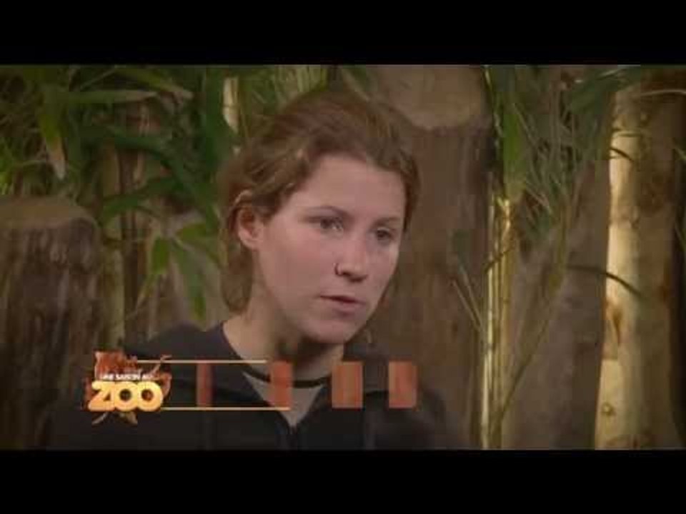 Katincka est blessée - S03E06
