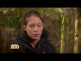 Adèle s'occupe de Yang le panda roux - S03E09