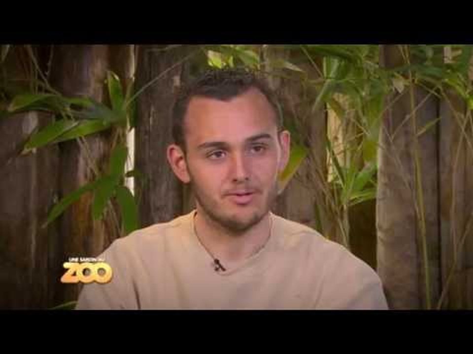 Du poulet pour les lions - S03E07