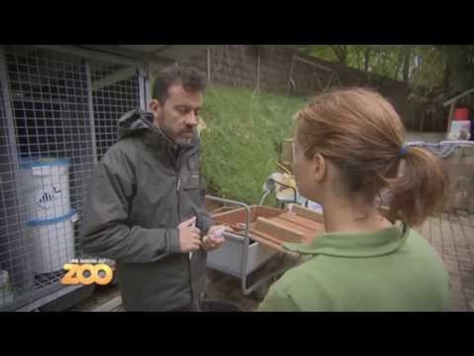 Cyril fait sa tournée médicale - S03E42