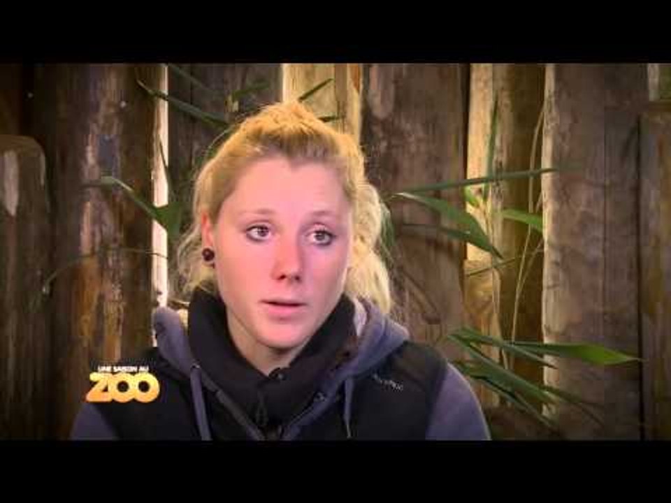 Charlotte et Yanis nourrissent les primates - S03E16