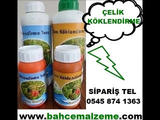 Télécharger la video: Çelik köklendirme hormonu nasıl kullanılır, Kullanıma Hazır indol bütirik asit satış fiyatları, Gül köklendirme hormonu satışı