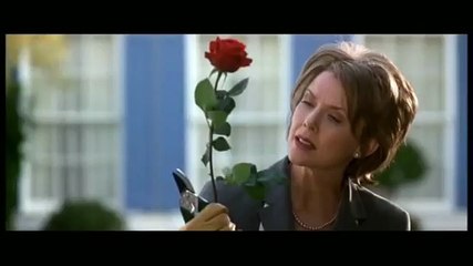 American Beauty [Italiano] - Inizio
