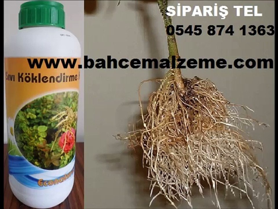 sıvı köklendirme hormonu,sıvı-ıba, köklendirme-hormonu-satış, köklendirici hormon,köklendirici-hormon,köklendirme tozu,köklendirme-tozu