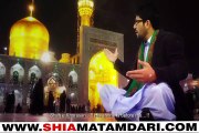 Mir Hasan Mir Ya Ali Musa e Raza [as] New Manqabat 2015-2016 [HD] ShiaMatamdari.com