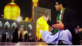 Mir Hasan Mir Ya Ali Musa e Raza [as] New Manqabat 2015-2016 [HD] ShiaMatamdari.com
