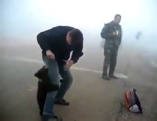 New Animal Funny Videos 2014 Baby Bear Attack! Funny Videos