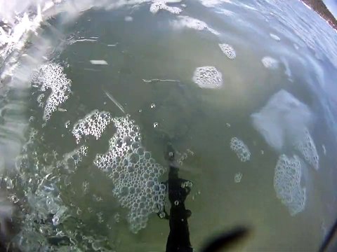 Tesouros Submarinos, praias, mares, areias, Ubatuba, SP, Brasil, Marcelo Ambrogi, (27)