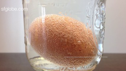 The Effects Of Mixing Vinegar With An Egg - Rubber Egg Experiment