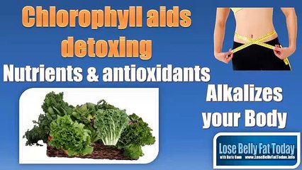 Belly Fat Foods - Belly Fat Burning Foods - Foods That Burn Belly Fat