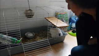 garde animaux particulier Paris échange d'Eugénie pour son lapin Praline
