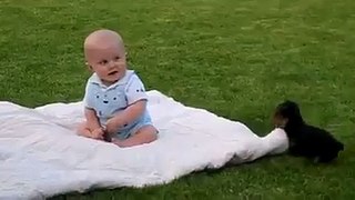 Cute Baby Play with Puppy