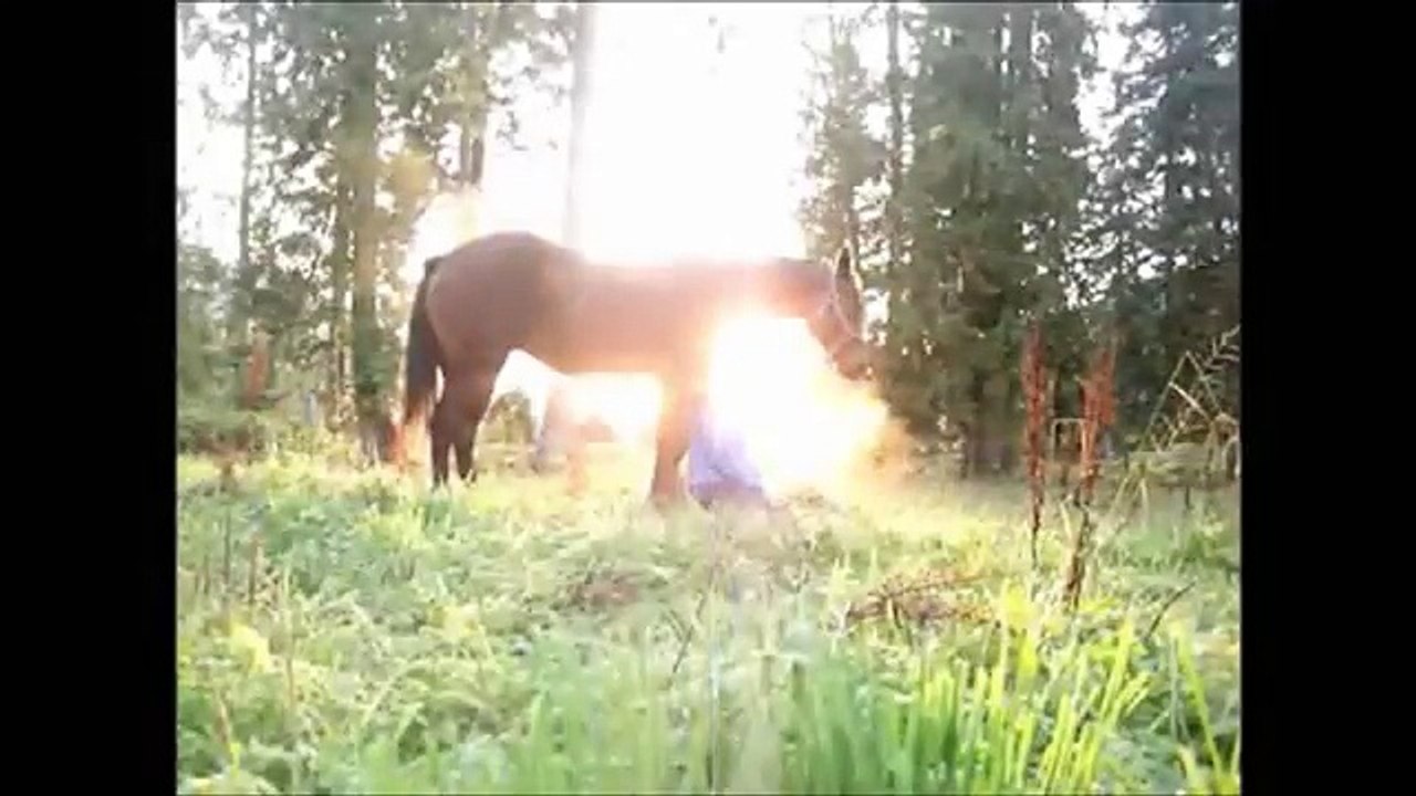 Some Nights.  (Mash up video!)