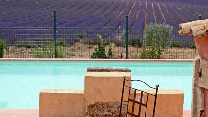 Vente propriété de prestige / gîtes Haute Provence - Annonces immobilières