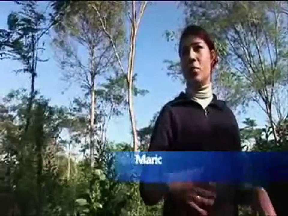 WC08 - Full Film