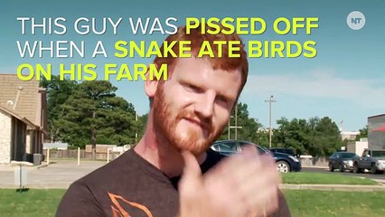 A Snake Ate This Guy's Birds, So He Ate The Snake