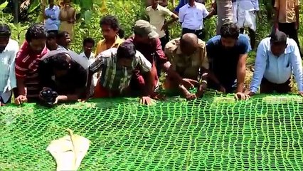 Les villageois risquent leur vie pour sauver ce léopard. Hallucinant !