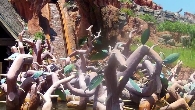 Splash Mountain Magic Kingdom at Walt Disney World POV Frontierland