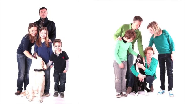 Garde animaux chien chat entre particuliers, témoignages sur l'échange