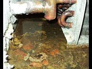 Replace Evaporator Coil Cost