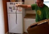 Man Freaks Out at Snake in the Kitchen