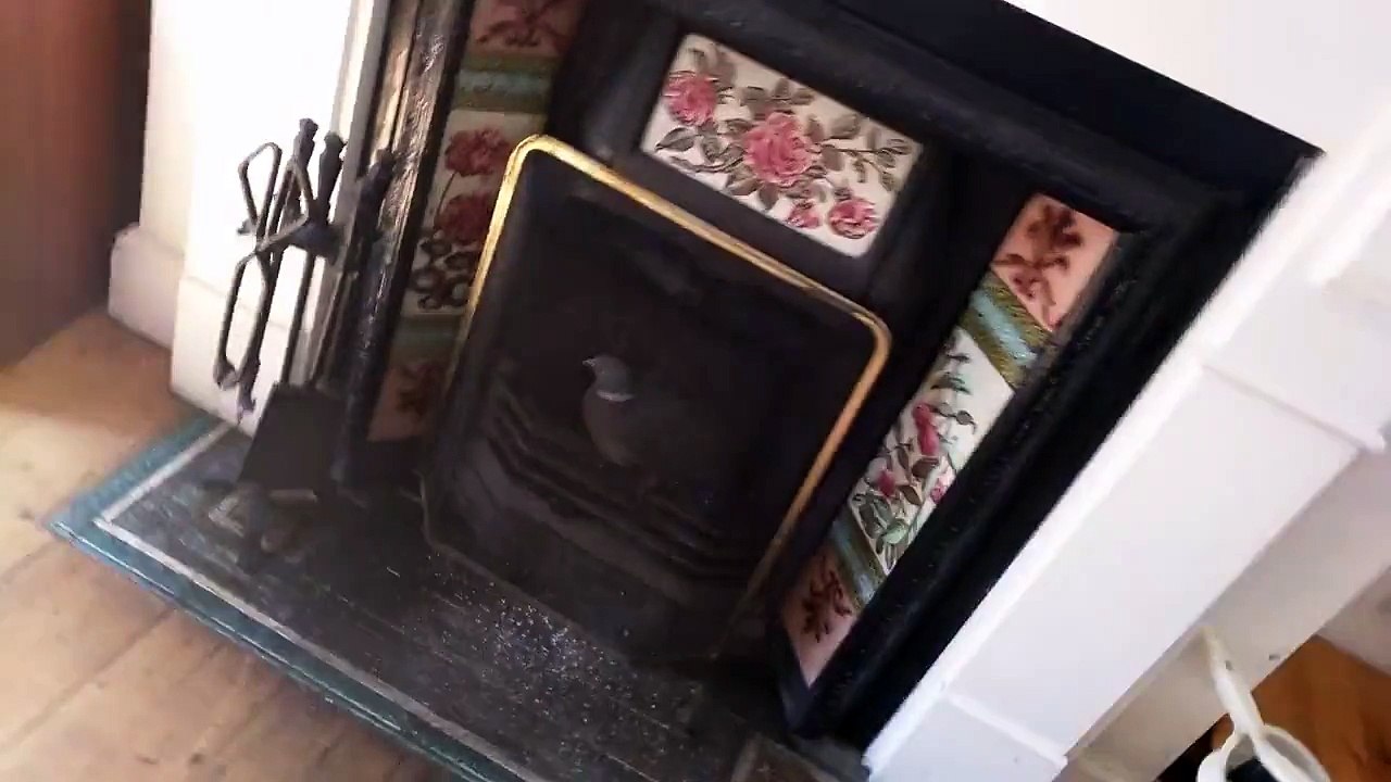 A pigeon fell into fireplace