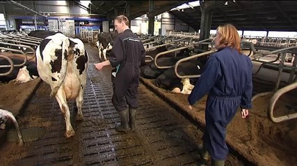 Wie volgt de boer op? - RTV Noord