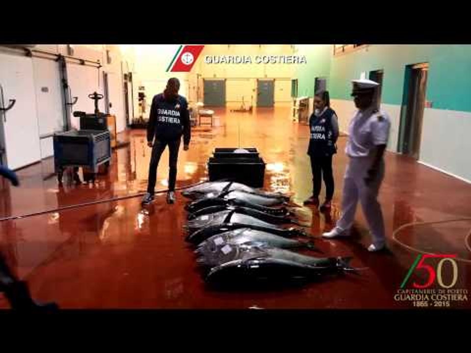 Guardia Costiera - Sequestro di prodotti ittici (12.06.15)