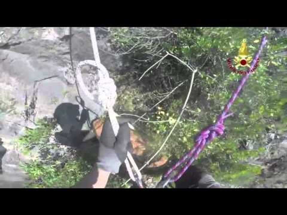 Lucca - Intervento per prestare soccorso ad un cane (12.06.15)