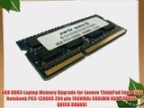 8GB DDR3 Laptop Memory Upgrade for Lenovo ThinkPad Edge E531 Notebook PC3-12800S 204 pin 1600MHz