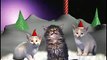 Katten die kerstliedjes zingen