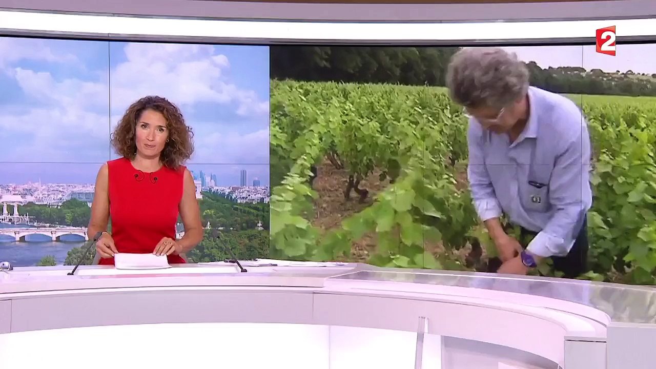 Ce que les modifications de la loi Evin vont changer
