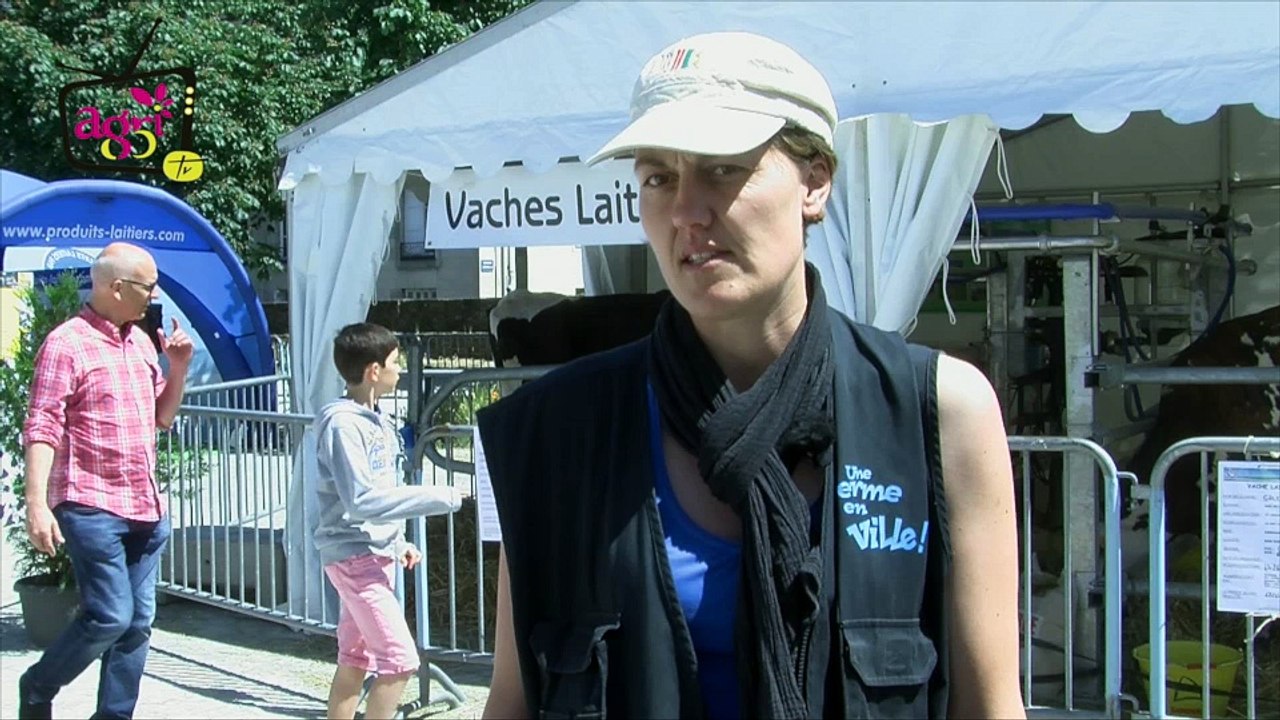 Ferme en Ville 2015 (2)