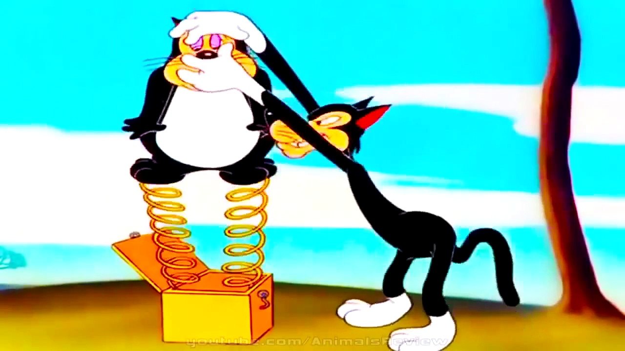 Funny Talking Cats, Try Not to Laugh   Cartoons for Children in English